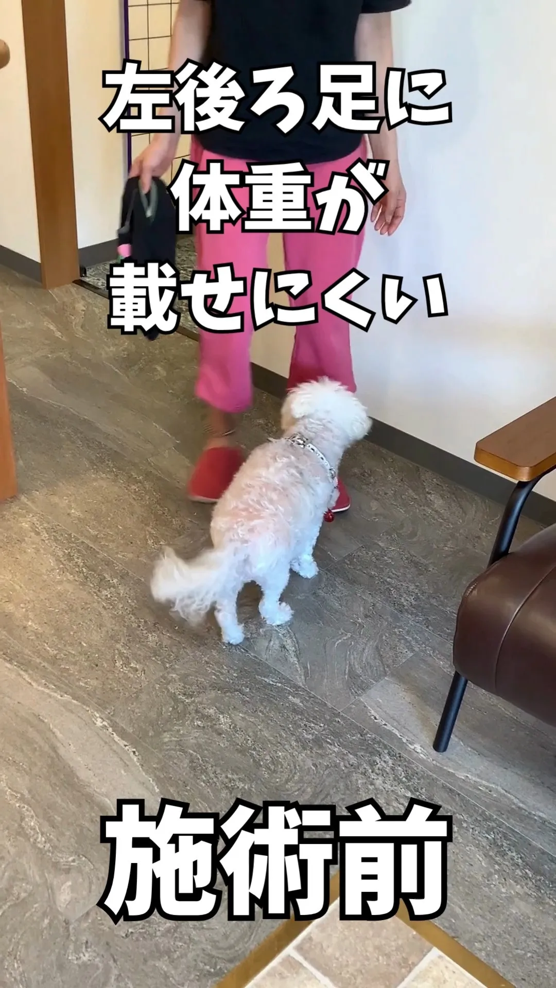 ＼ワンちゃんの左後ろ足がスムーズに✨／